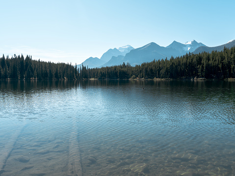 Wide angle view of lake Herbert in Banff National Park Alberta, Canada on a clear blue day reflecting the surrounding forest and Mountain range.
