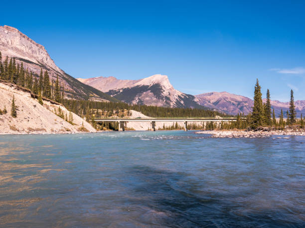 la strada panoramica dei campi di ghiaccio passa sopra il fiume saskatchewan in alberta, canada. - saskatchewan highway road trip scenics foto e immagini stock