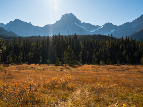 istock A small stream of water flows through an autumn meadow in front of a large mountain range. 1797247897