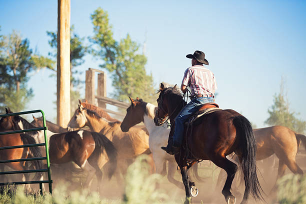 istock Cattle rancher driving horses into corral 179724949