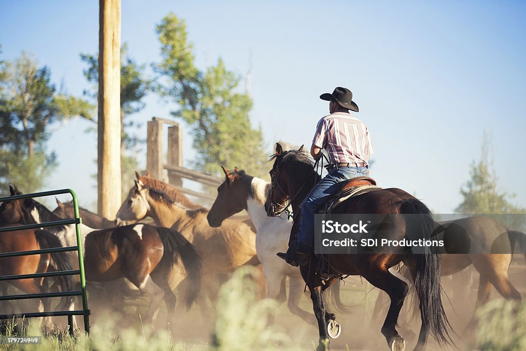 Bovinos Rancheiro condução cavalos no Redil - Royalty-free Vaqueiro Foto de stock