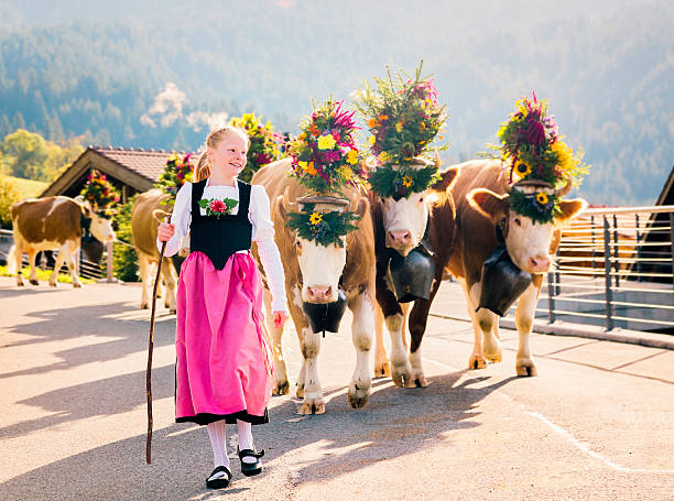 junge schweizer farmer mädchen, die kühe zu fair - cow swiss culture switzerland cattle stock-fotos und bilder