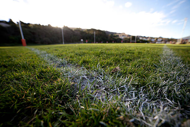 Rugby Field stock photo