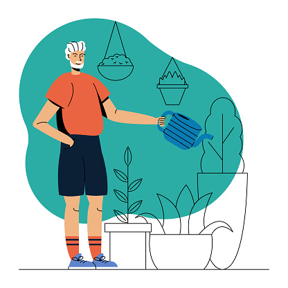 Senior man holding watering can, standing near plants and watering it. Grandparent does household chores. Flat vector illustration in blue and orange color in cartoon style