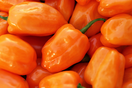 Orange hot chili peppers as background, closeup