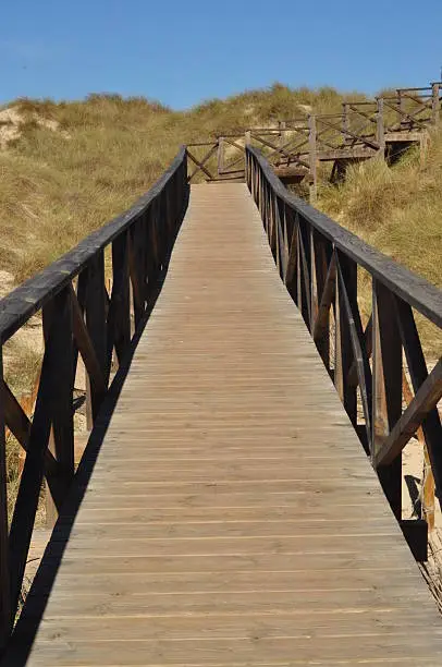 A wooden walkway leads through the dunes to protect them.