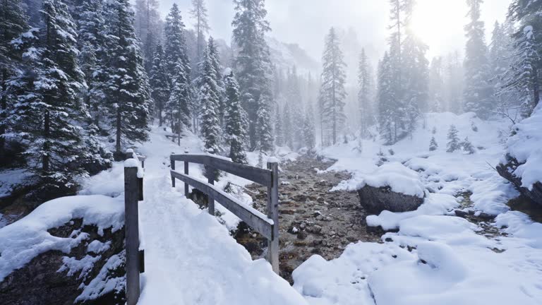 SLO MO Small Wooden Bridge over Stream in Snow Covered Coniferous Forest in Dolomites