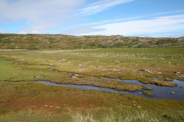istock Nordic Tundra 1797386923
