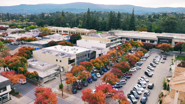 Aerial View of Vibrant Autumn Cityscape in Los Altos