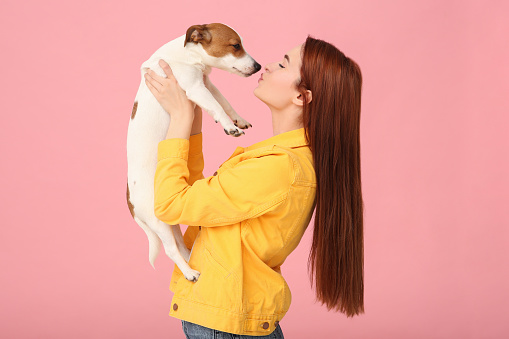 Woman kissing her cute Jack Russell Terrier dog on pink background