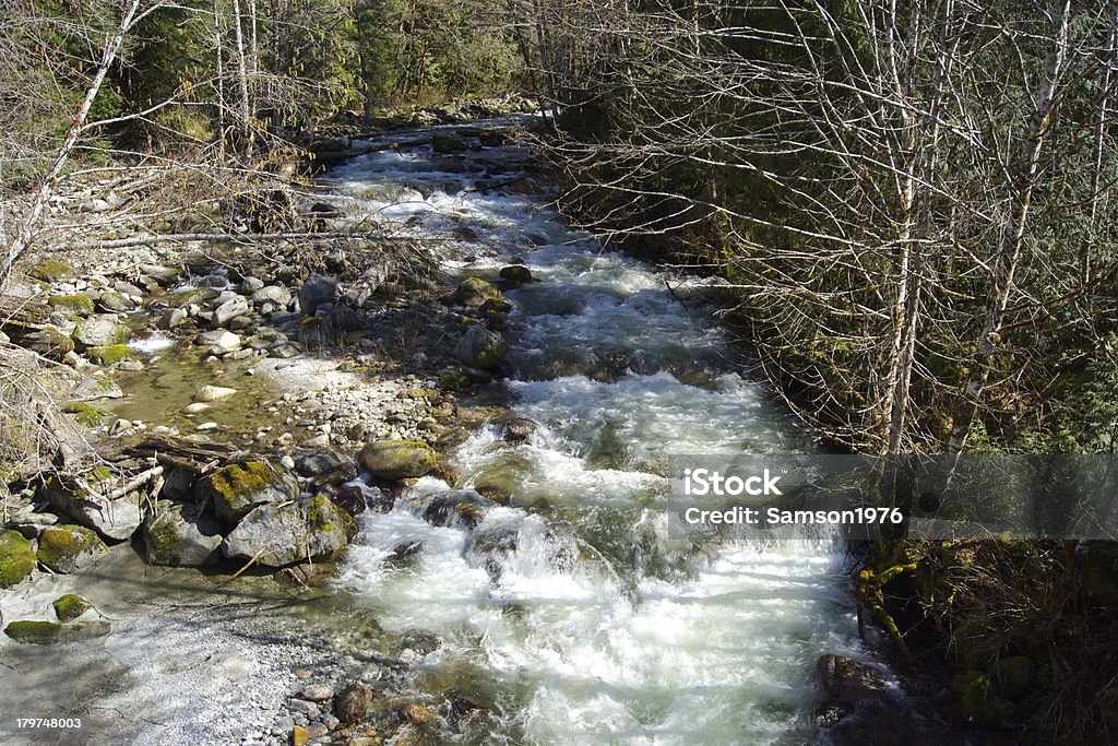 De mármore Creek - Foto de stock de Parque Nacional de North Cascades royalty-free