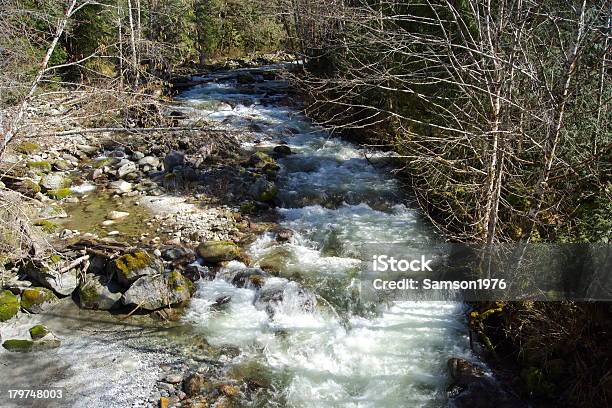 Foto de De Mármore Creek e mais fotos de stock de Parque Nacional de North Cascades - Parque Nacional de North Cascades, Geleira Peak, Animal selvagem