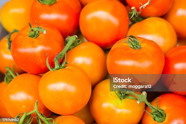 Tomaten Frisch Von Der Farm Stockfoto und mehr Bilder von Blatt - Pflanzenbestandteile - Blatt - Pflanzenbestandteile, Farbton, Fotografie