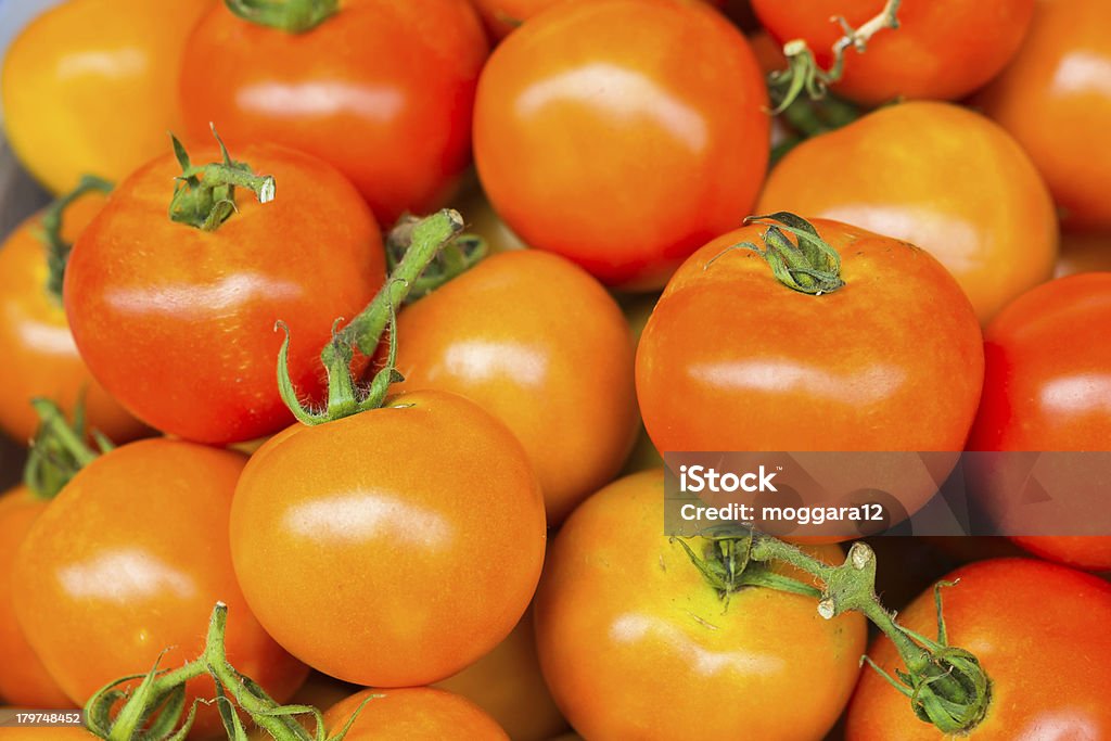 От фермы свежие помидоры - Стоковые фото Без людей роялти-фри