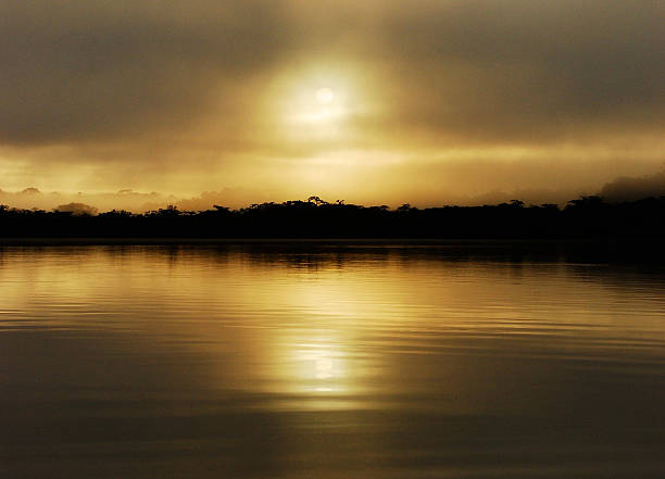 Sunrise over the Amazon rainforest stock photo