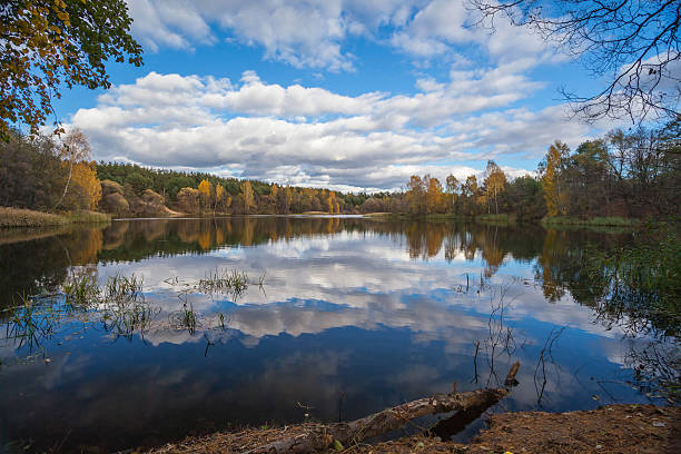 autumn landscape on a lake