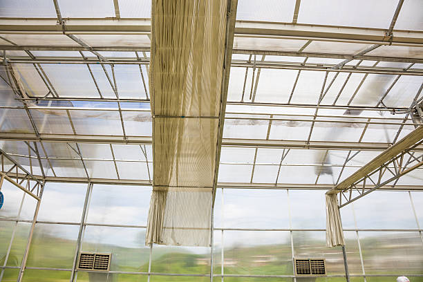 istock glass green house 179751228