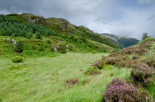 Beautiful landscape with Glencoe or Glen Coe mountains. An beautiful view over landscape in the Scottish Higlands, Scotland. UK. View of the Hidden-valley in the Scottish Highlands.