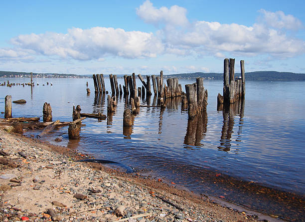old piles in the lake