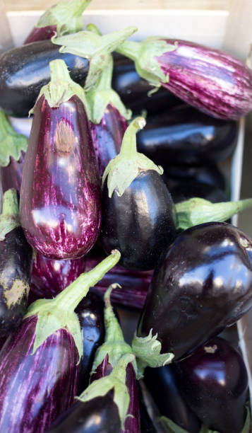 istock Paris, France: Group of Eggplants in Crate Overhead View 1797536412