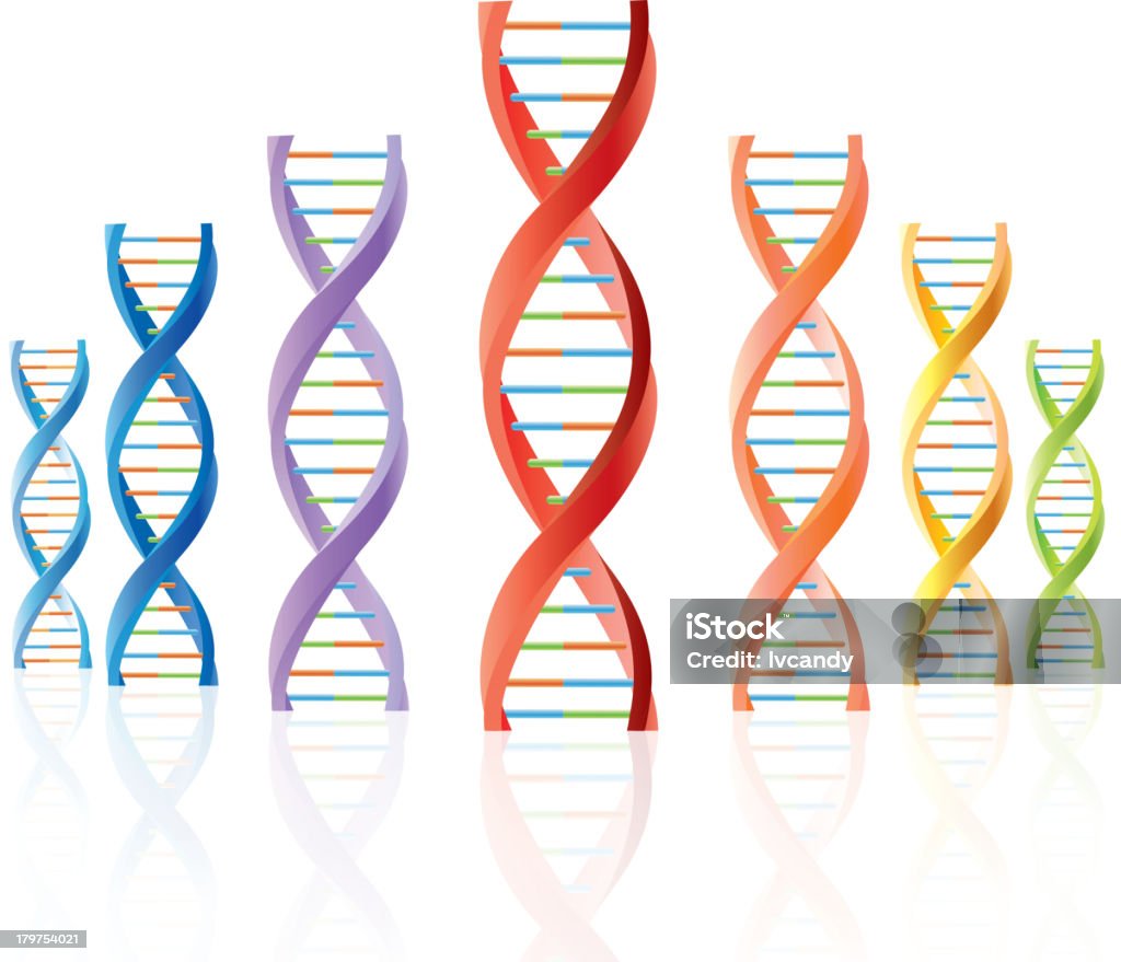 EL ADN - arte vectorial de ADN libre de derechos