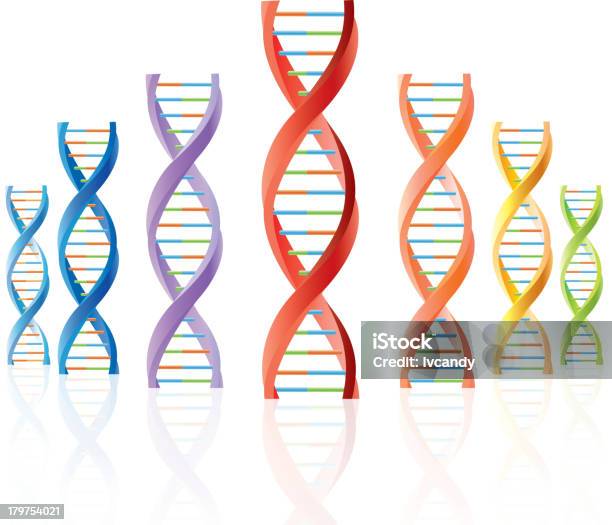 Dna DNA에 대한 스톡 벡터 아트 및 기타 이미지 - DNA, 나선 모양, 나선구조