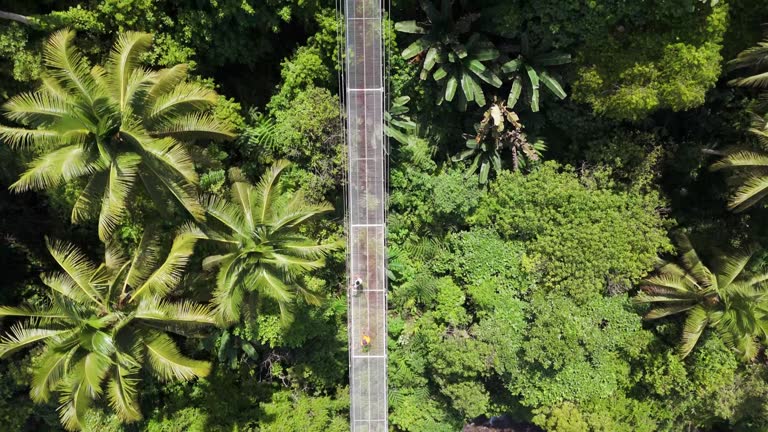 Drone Flying Over Lumondo Hanging Bridge in Alegria, Philippines