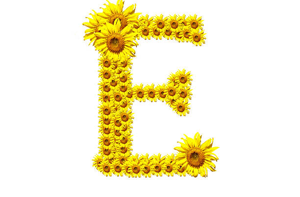 "E" sunflower alphabet stock photo