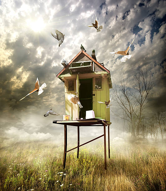 istock Wooden dovecote 179756564