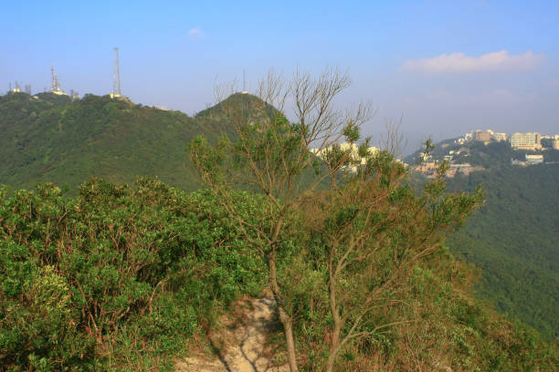 istock 11 oct 2008  the Mount High West at hong kong 1797584685