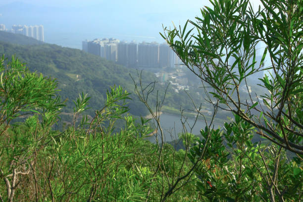 11 oct 2008 the view at Mount High West Viewing Point