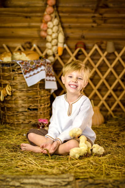 istock Easter fairy tale, a boy with chickens playing in a barn. beautiful 1797602509