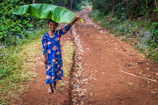 Little girl hiding from rain under banana leaf in a remote village, Central Ethiopia, East Africa