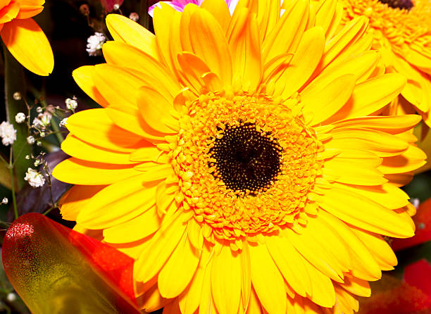 istock Beautiful fresh bouquet with gerberas. 179760986