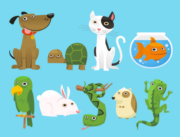 Animal Dog Turtle Cat Fish Parrot Bunny Snake Lizard Mouse Animal set, with Dog, Turtle, Cat, Bowl Fish, Parrot, Bunny, Snake, Lizard, Mouse. Vector Illustration Cartoon. hare and leveret stock illustrations