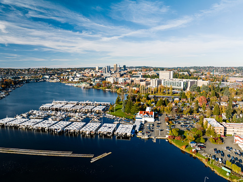 A marina in Portage Bay in Seattle Washington.  The University of Washington campus is in the background.