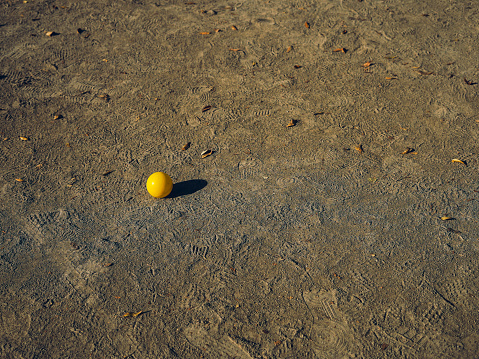 Discarded yellow ball