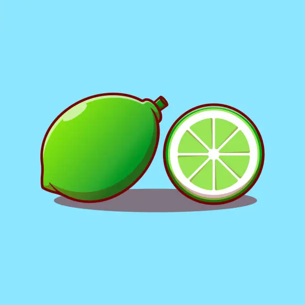 Vector illustration of lime orange citrun fruit cartoon vector illustration
