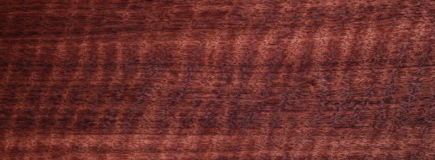 closeup texture of wooden flooring made of etimoe curly figure - etimoe imagens e fotografias de stock