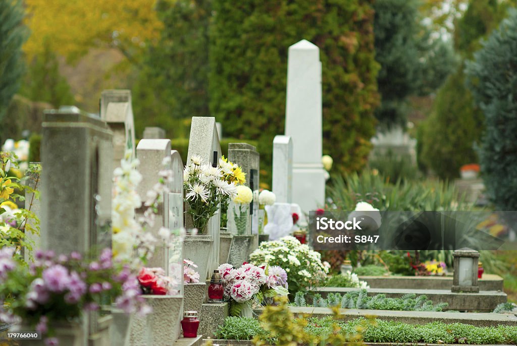 Cementerio - Foto de stock de Crisantemo libre de derechos