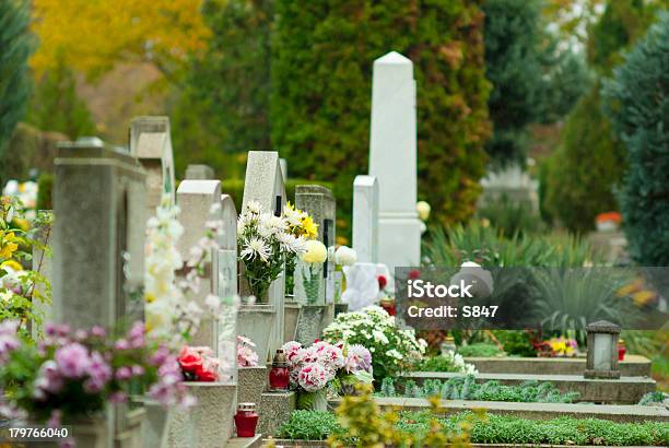 Cimitero - Fotografie stock e altre immagini di Crisantemo - Crisantemo, Monumento commemorativo, Ambientazione tranquilla