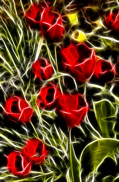 istock Tulip Lightning Fractal 179766838