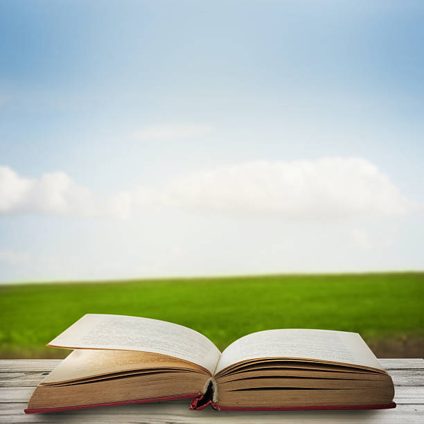 istock Old book on the wooden terrace 179767835