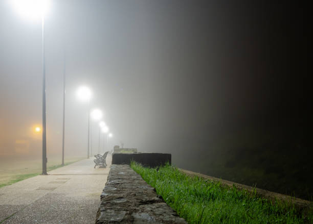 istock Mysterious Night Fog: Benches Illuminated by Cold Lights in the City. 1797688203