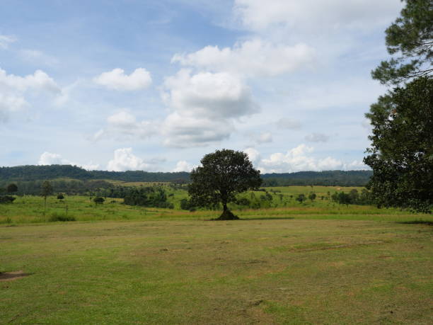 istock Meadow with green forest on mountain with blue and white cloud in background 1797717117