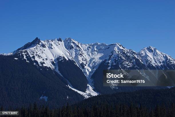 Photo libre de droit de Nooksack Ridge Glace Bleue banque d'images et plus d'images libres de droit de Animaux à l'état sauvage - Animaux à l'état sauvage, Faune sauvage, Horizontal