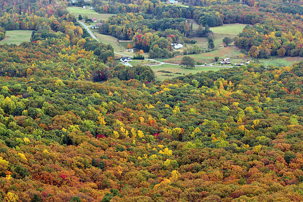 istock Autum scenery in the mountains 179776120