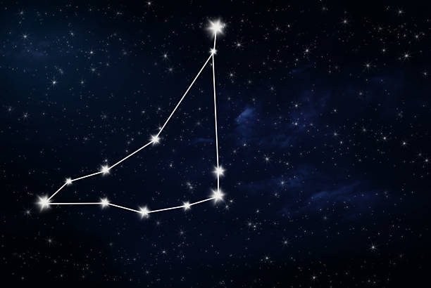 capricorn horoscope star sign with night sky