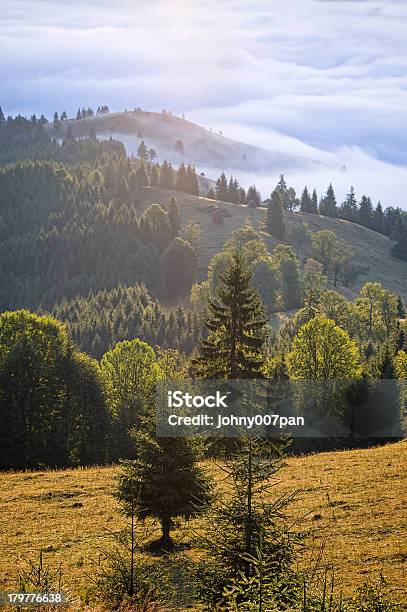 Berglandschaft Stockfoto und mehr Bilder von Anhöhe - Anhöhe, Baum, Berg