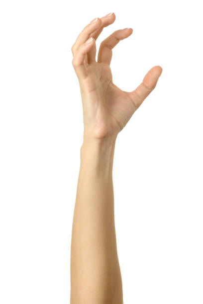 istock Pulling, grabbing, reaching or scratching. Woman hand gesturing isolated on white 1797771210